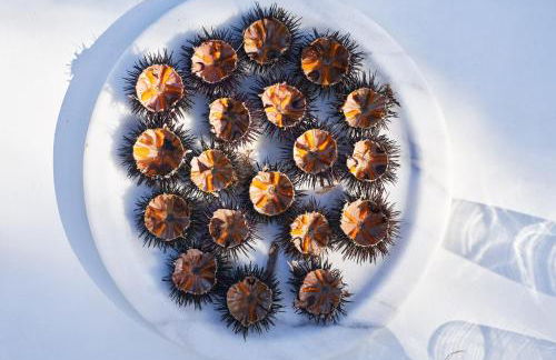 Villa Santa Katerina - Sea View & Outdoor Hot Tub - Foto 126