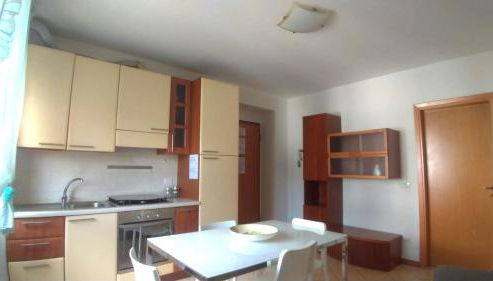 Cleo camelia - Foto 4