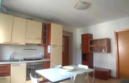 Cleo camelia - Foto 4