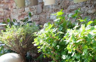 Boutique cottage central Wells - Foto 15