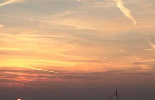 Le Club des Cigales - Foto 76