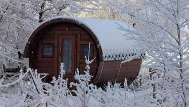 Die Sonnenblume - Foto 5