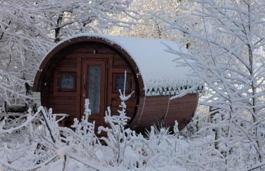 Die Sonnenblume - Foto 5