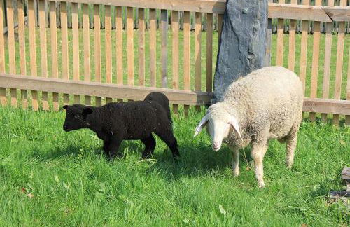 Stöckigtsmühle - Foto 7