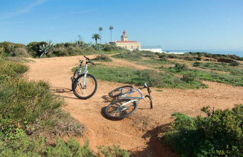 Casa Marques - Photo 9