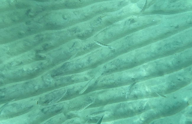 Apartament In Fron Of The Sea - Foto 21