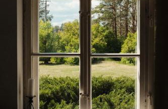 Sztuka Lasu - Foto 13