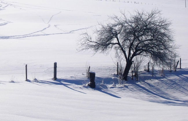 Gruppenferienhaus im Sauerland - Foto 38