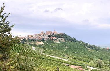 Agricola Domus - Photo 33