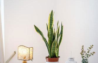 YourHome - Villa Aldo Marino - Foto 41