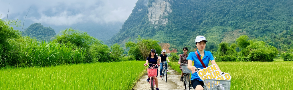 Esplora Hoa Lu, Tam Coc e la Grotta di Mua – Tour di un giorno per piccoli gruppi - Foto 1