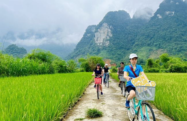 Esplora Hoa Lu, Tam Coc e la Grotta di Mua – Tour di un giorno per piccoli gruppi - Foto 1