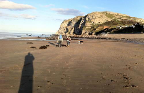 Superb Cintra Beachside Apartments - Photo 22