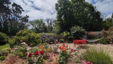 Havre de paix au bout du monde - Foto 2, Garden