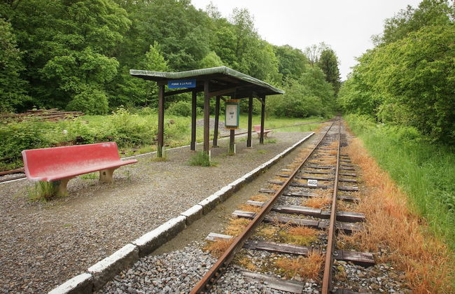 Forest Escape, Luxembourg - Foto 18