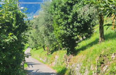 L' Oliva Nera - Foto 14