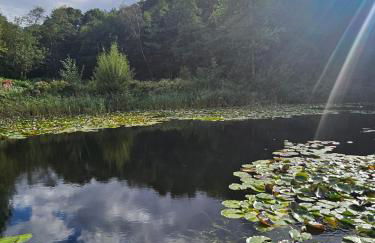 Fawn Lodge, Kelling Heath - Woodland Setting and Pets Welcome - Photo 7