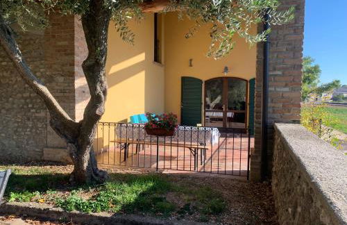 Agriturismo Case in Collina - Foto 17