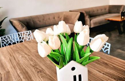 Eibauer Apartments - Foto 5