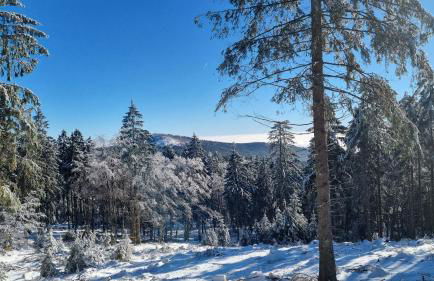 Fewo-Taunus-Panoramablick - Foto 22