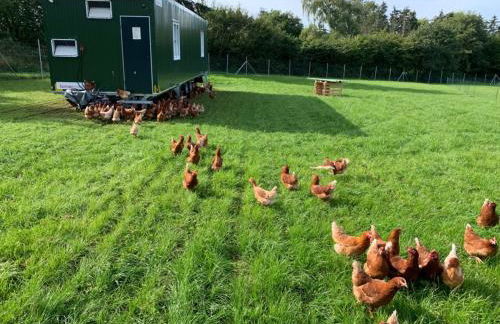 Ferienhof Bannick - Foto 36