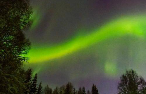 Northern Lights Log House w/ Sauna - Foto 50