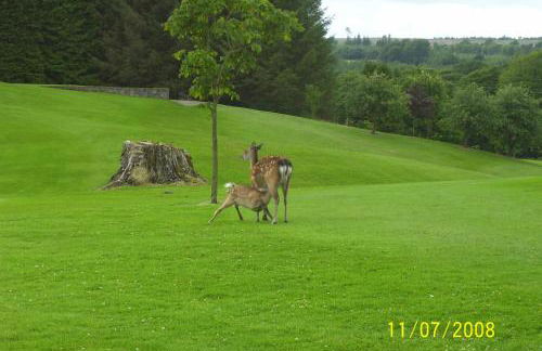 Strule Cottage - Foto 33