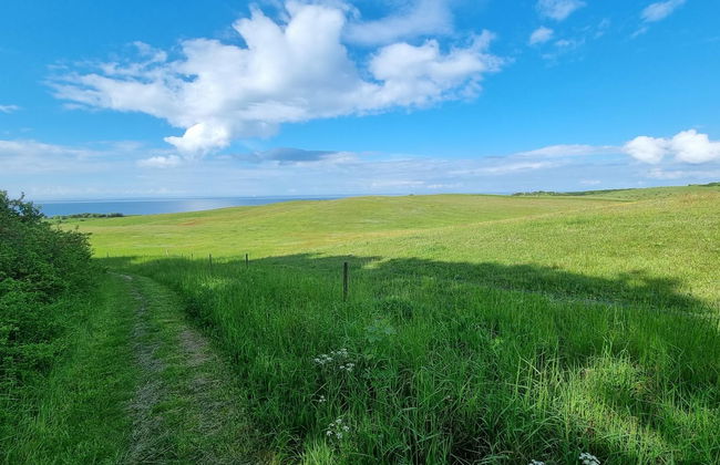 "Miona" - 725m from the sea - Foto 6