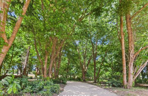 -TY TAD - Magnifique Chaumiere entierement renovee - Foto 6