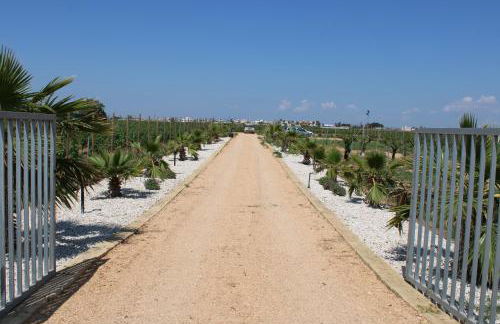 Smiles & Sunsets - Marino's Resort - Foto 157