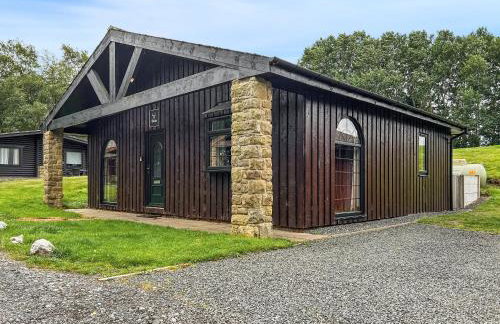 The Curious Stag - Foto 1