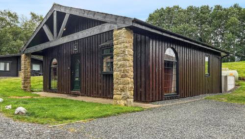 The Curious Stag - Foto 1