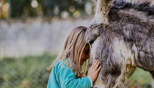 Épicos House, Your home away from home. - Foto 3