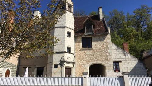 Manoir des Roches 41 - Photo 2