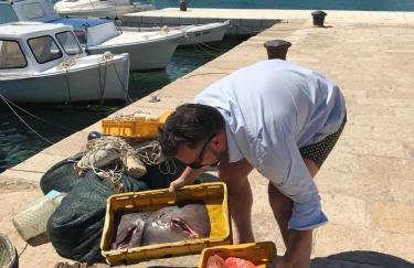 Authentic house - Foto 20