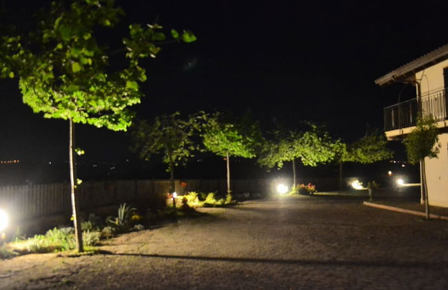 Agricola Lanciani - Foto 18