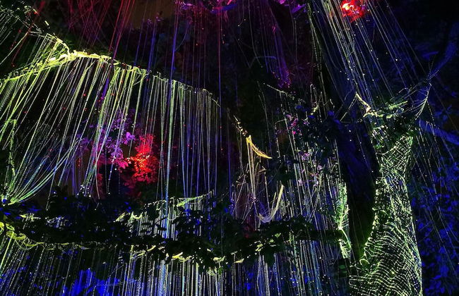 The Landmark Penthouse Luxury Condo by Casa Accommodation - Foto 43