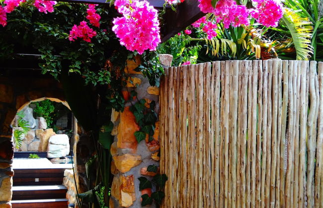 African Violet Guest Suites - Foto 2