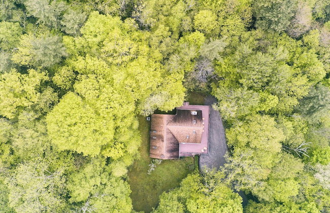 Secluded Forest Sanctuary Outdoor Living, Yard, Views Half Moon by Avantstay - Foto 81