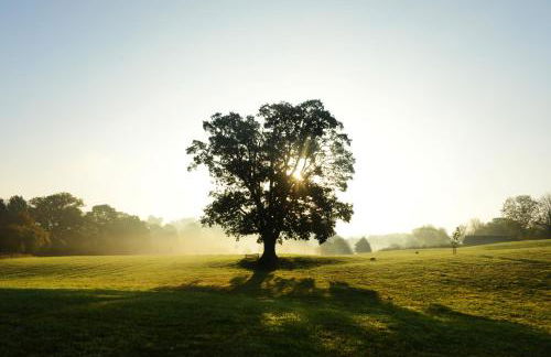 Upper Vobster Farm - Foto 80