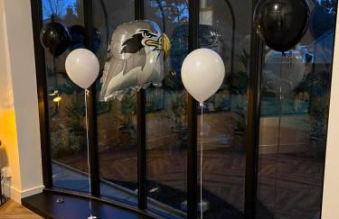 Falcon House - Foto 46