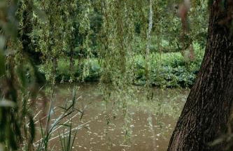 Außerhalb2 - Gästehaus Mühlstein - Photo 18