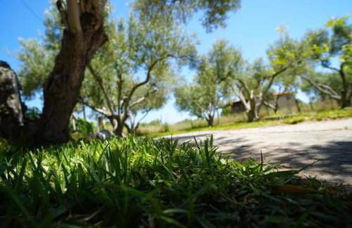 Dream in Chalkidiki 2 bedroom villa with garden - Foto 80