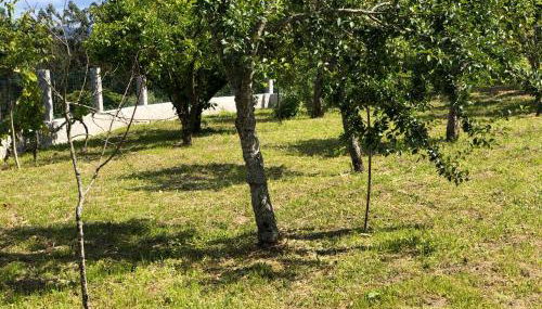 Casa Estrella - Photo 4