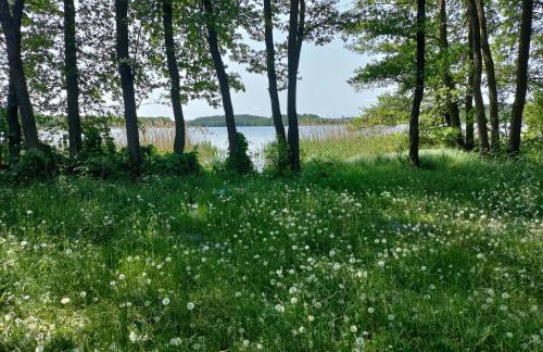 Widny Jaś zaprasza z psem nad jezioro na Kaszubach - Foto 37