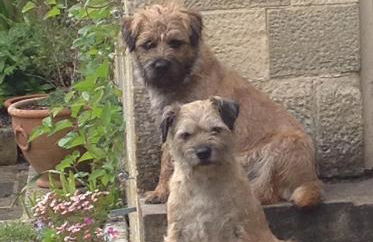 Dove Cottage - Foto 8