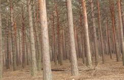 Casa Rural Rincón - Foto 40