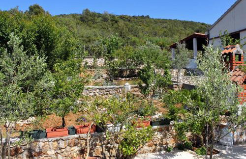 Apartments by the sea Brgulje, Molat - 6243 - Foto 18