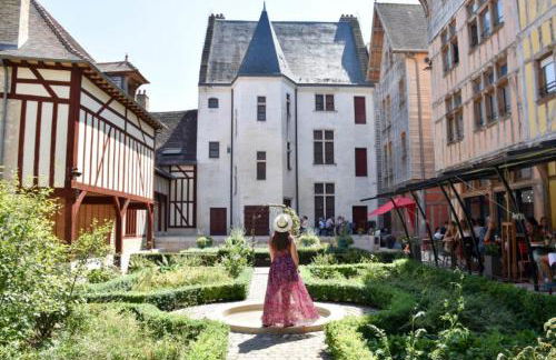 Maison La Ruelle des Chats Centre Historique de Troyes - Photo 2