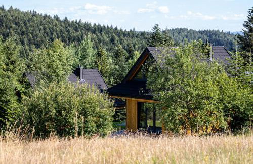 Domki Krynica - Foto 48